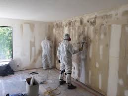 Why You Should Choose Our Mold Remediation Services in Paulina, LA